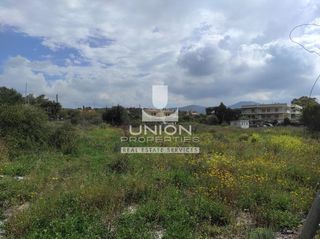 Αγροτεμάχια 1.200 τ.μ. για ενοικίαση