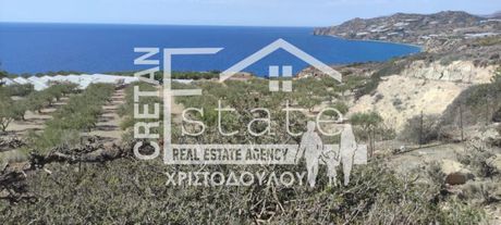 Αγροτεμάχια 4.012τ.μ. για πώληση-Βιαννός » Τέρτσα