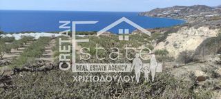 Αγροτεμάχια 4.012 τ.μ. για πώληση