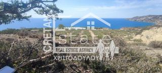 Αγροτεμάχια 4.012 τ.μ. προς πώληση, Τέρτσα-thumb-5