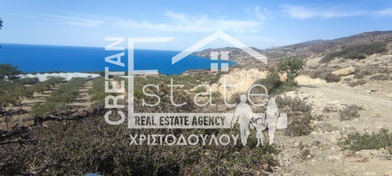 Αγροτεμάχια 4.012 τ.μ. προς πώληση, Τέρτσα