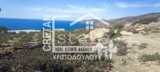 Αγροτεμάχια 4.012 τ.μ. προς πώληση, Τέρτσα-thumb-4