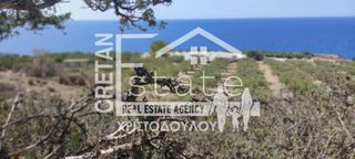 Αγροτεμάχια 4.012 τ.μ. προς πώληση, Τέρτσα-thumb-2