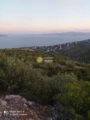 Οικόπεδο 990 τ.μ. για πώληση, Εύβοια, Ταμύνες-thumb-2