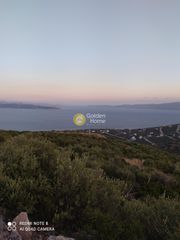 Οικόπεδο 990 τ.μ. για πώληση, Εύβοια, Ταμύνες-thumb-1