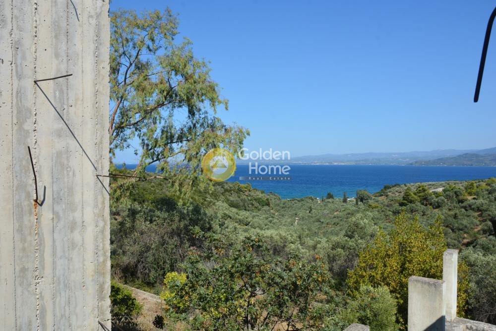Συγκρότημα διαμερισμάτων 200 τ.μ. προς πώληση, Γλύφα Πελασγίας