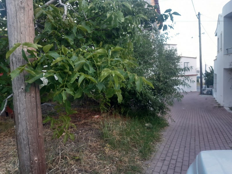 Οικόπεδο 300 τ.μ. προς πώληση, Μάλες