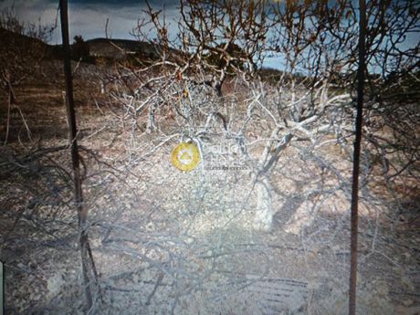 Land plot 4.100sqm for sale-Keratea » Paralia Daskaleiou