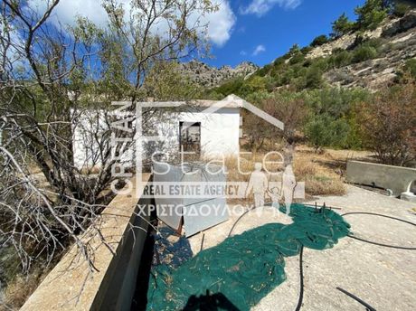 Μονοκατοικία 80τ.μ. για πώληση-Ιεράπετρα » Μάλες