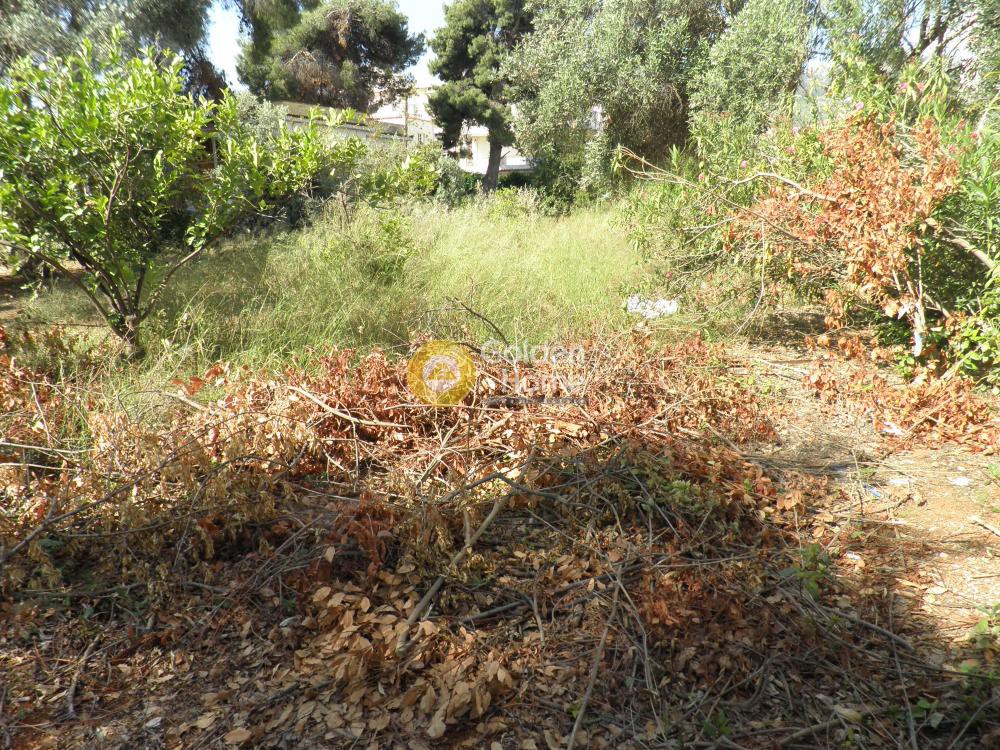 Οικόπεδο 397 τ.μ. προς πώληση, Κέντρο Νέας Μάκρης