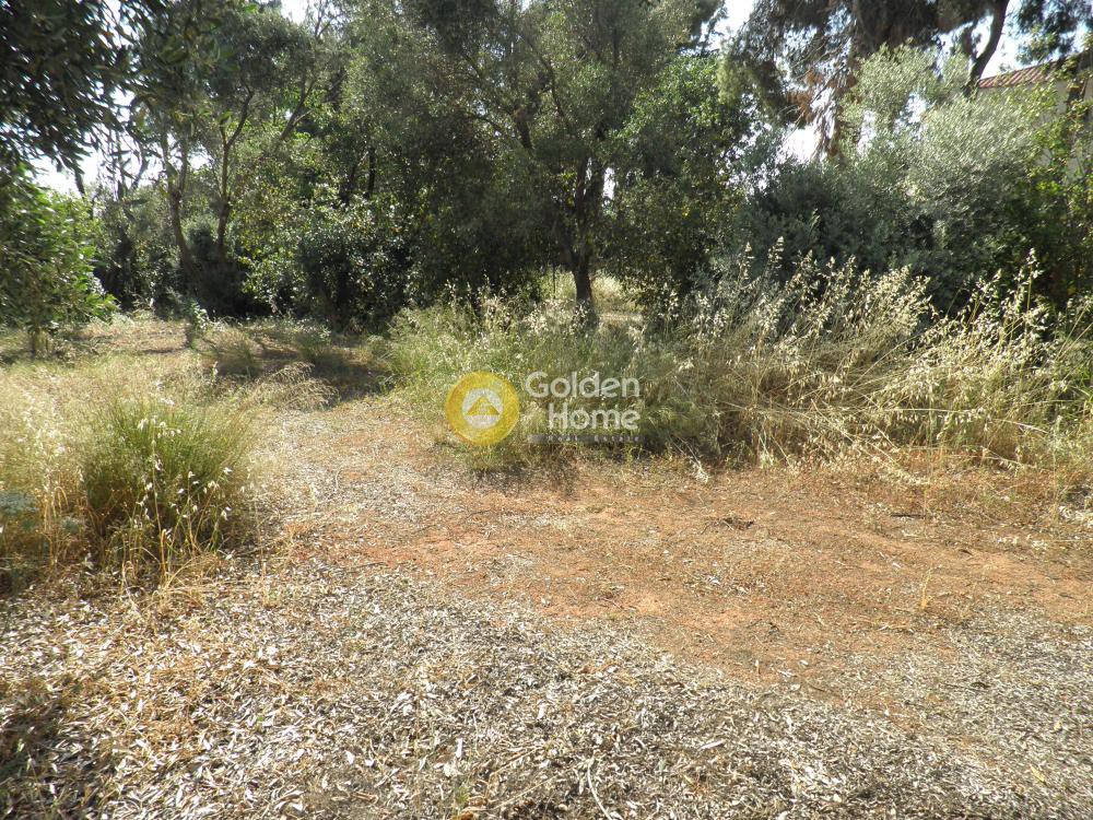Οικόπεδο 397 τ.μ. προς πώληση, Κέντρο Νέας Μάκρης