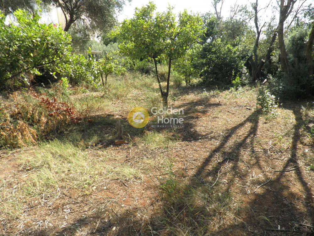 Οικόπεδο 397 τ.μ. προς πώληση, Κέντρο Νέας Μάκρης