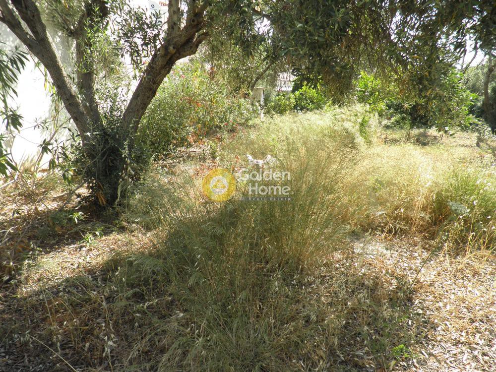 Οικόπεδο 397 τ.μ. προς πώληση, Κέντρο Νέας Μάκρης