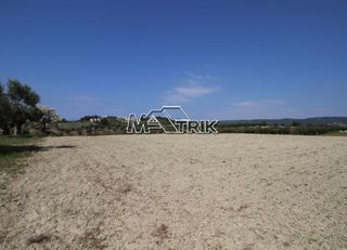 Αγροτεμάχια 8.225 τ.μ. για πώληση, Χαλκιδική, Κασσάνδρα-thumb-3