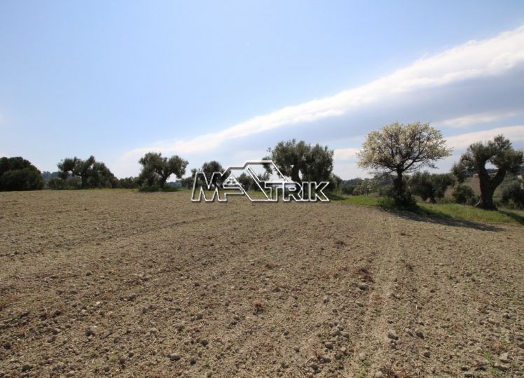 Αγροτεμάχια 8.225 τ.μ. προς πώληση, Ποσείδι