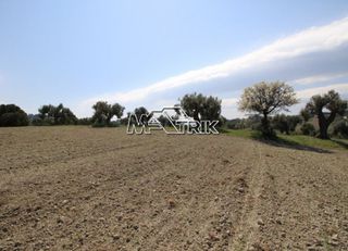 Αγροτεμάχια 8.225 τ.μ. για πώληση, Χαλκιδική, Κασσάνδρα-thumb-4