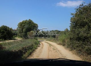 Αγροτεμάχια 8.225 τ.μ. για πώληση, Χαλκιδική, Κασσάνδρα-thumb-9