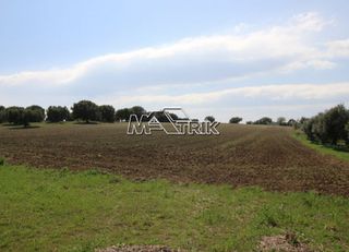 Αγροτεμάχια 8.225 τ.μ. για πώληση, Χαλκιδική, Κασσάνδρα-thumb-12