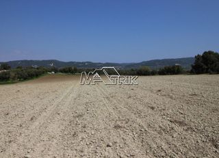 Αγροτεμάχια 8.225 τ.μ. για πώληση, Χαλκιδική, Κασσάνδρα-thumb-7