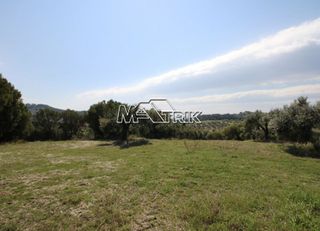 Αγροτεμάχια 8.225 τ.μ. για πώληση, Χαλκιδική, Κασσάνδρα-thumb-8