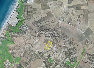 Αγροτεμάχια 8.225 τ.μ. για πώληση, Χαλκιδική, Κασσάνδρα-thumb-11