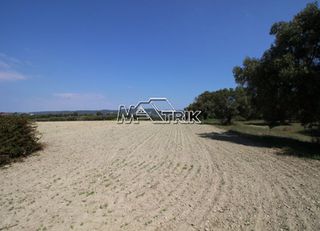 Αγροτεμάχια 8.225 τ.μ. για πώληση, Χαλκιδική, Κασσάνδρα-thumb-6