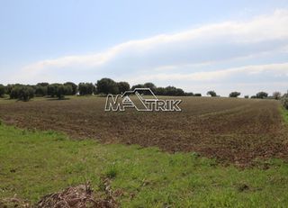 Αγροτεμάχια 8.225 τ.μ. για πώληση, Χαλκιδική, Κασσάνδρα-thumb-10