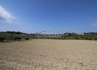 Αγροτεμάχια 8.225 τ.μ. για πώληση, Χαλκιδική, Κασσάνδρα-thumb-5