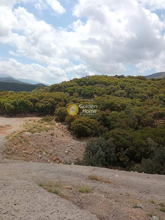 Οικόπεδο 7.568 τ.μ. προς πώληση, Καλό Χωριό Γουβών