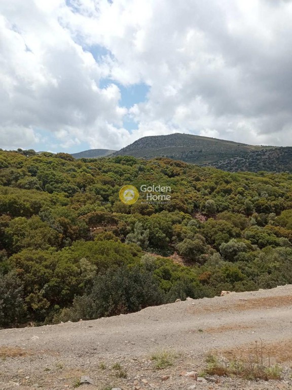 Οικόπεδο 7.568 τ.μ. προς πώληση, Καλό Χωριό Γουβών