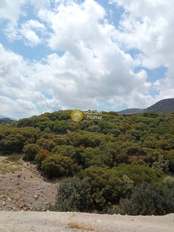 Οικόπεδο 7.568 τ.μ. προς πώληση, Καλό Χωριό Γουβών