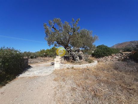 Land plot 8.000sqm for sale-Aegina » Perdika