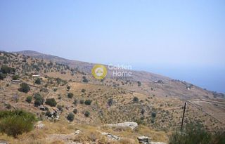 Αγροτεμάχια 6.200 τ.μ. για πώληση