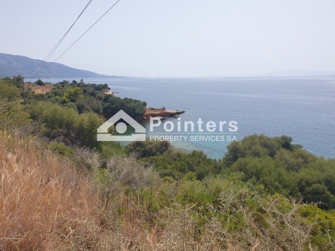 Αγροτεμάχια 52.000 τ.μ. πρός πώληση, Αιτωλοακαρνανία, Αλυζία