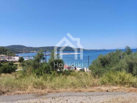 Αγροτεμάχια 4.592τ.μ. για πώληση-Κασσάνδρα » Κασσανδρηνό