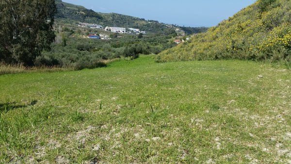 Οικόπεδο 4.200 τ.μ. προς πώληση, Άνω Καστρίτσι