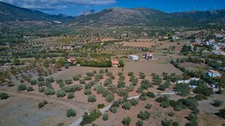Αγροτεμάχια 13.798 τ.μ. για πώληση