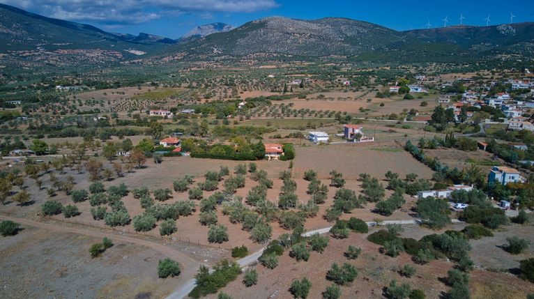 Αγροτεμάχια 13.798 τ.μ. για πώληση, Αργολίδα, Ερμιόνη