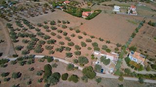 Αγροτεμάχια 13.798 τ.μ. προς πώληση, Ηλιόκαστρο-thumb-15