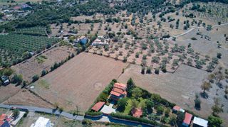 Αγροτεμάχια 13.798 τ.μ. προς πώληση, Ηλιόκαστρο-thumb-24