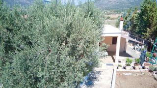 Αγροτεμάχια 13.798 τ.μ. προς πώληση, Ηλιόκαστρο-thumb-11