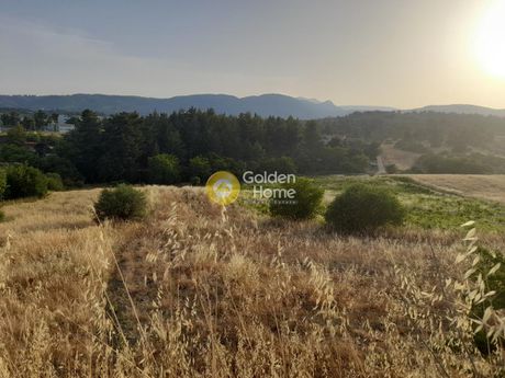 Αγροτεμάχια 2.600τ.μ. για πώληση-Κ. καπανδριτίου » Καπανδρίτι