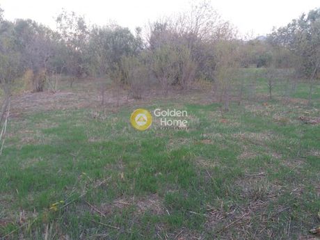 Land plot 4.050sqm for rent-Anavissos » Mavro Lithari