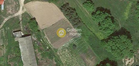 Land plot 8.000sqm for sale-Stagiron - Akanthou » Ierissos