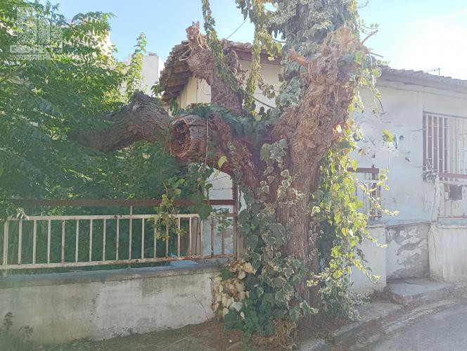 Οικόπεδο 334 τ.μ. πρός πώληση, Αθήνα - Βόρεια Προάστια, Νέα Ιωνία