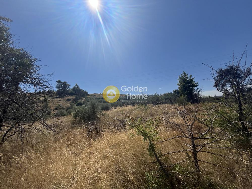 Οικόπεδο 4.060 τ.μ. προς πώληση, Νέα Κηφισιά