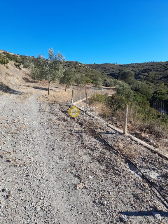 Αγροτεμάχια 7.467 τ.μ. προς πώληση, Αρί