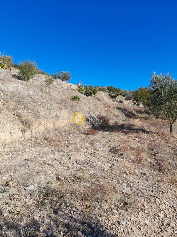 Αγροτεμάχια 7.467 τ.μ. προς πώληση, Αρί