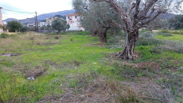 Οικόπεδο 1.000 τ.μ. προς πώληση, Προάστιο Πάτρας