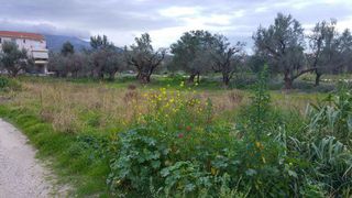 Οικόπεδο 1.000 τ.μ. για πώληση